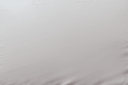 Fully Encased Smooth Top Polyester Hypoallergenic California King Mattress Protector